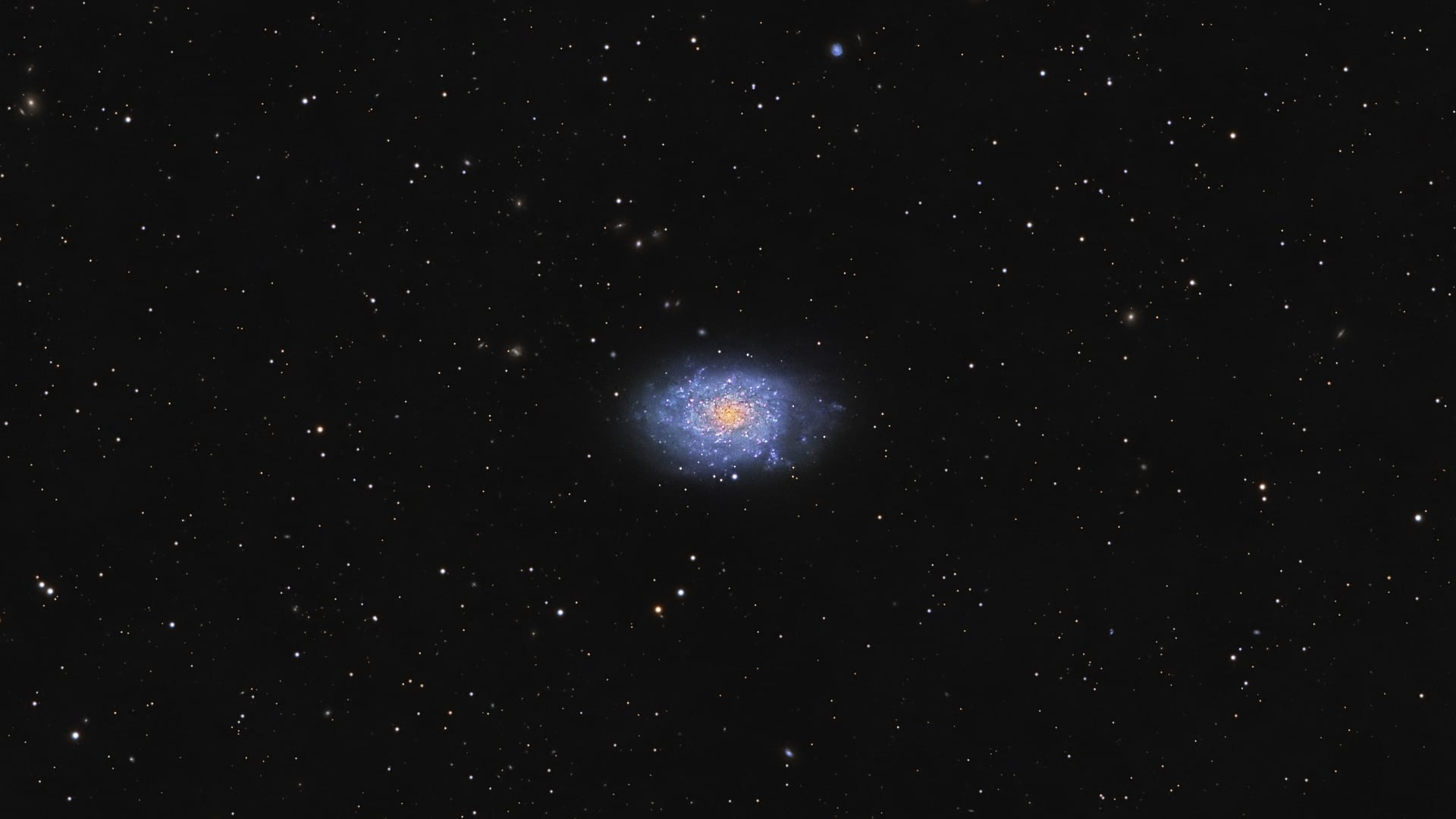 Bond S Galaxy NGC 7793 Spektrum Der Wissenschaft