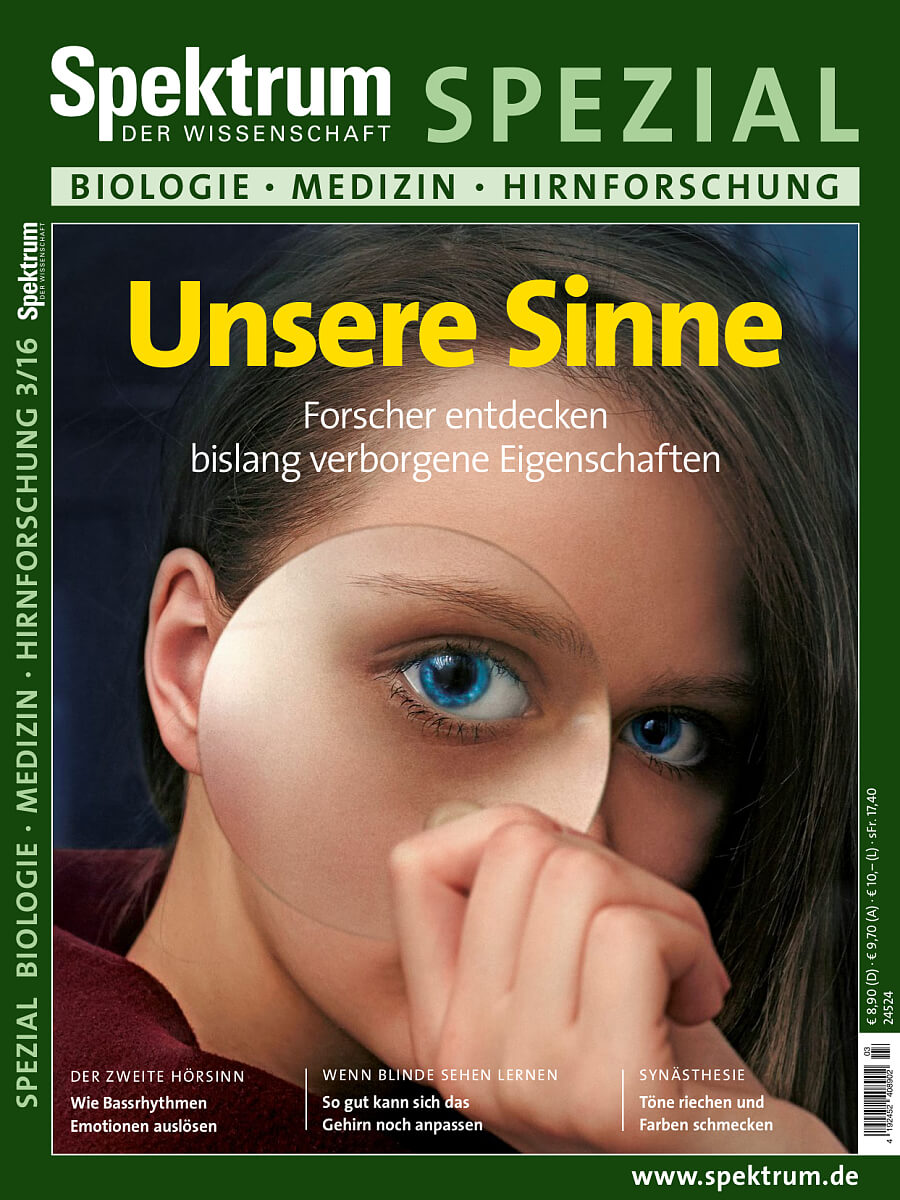 Unsere Sinne Spektrum Spezial Biologie Medizin Hirnforschung 3