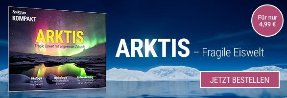 Spektrum Kompakt - Arktis