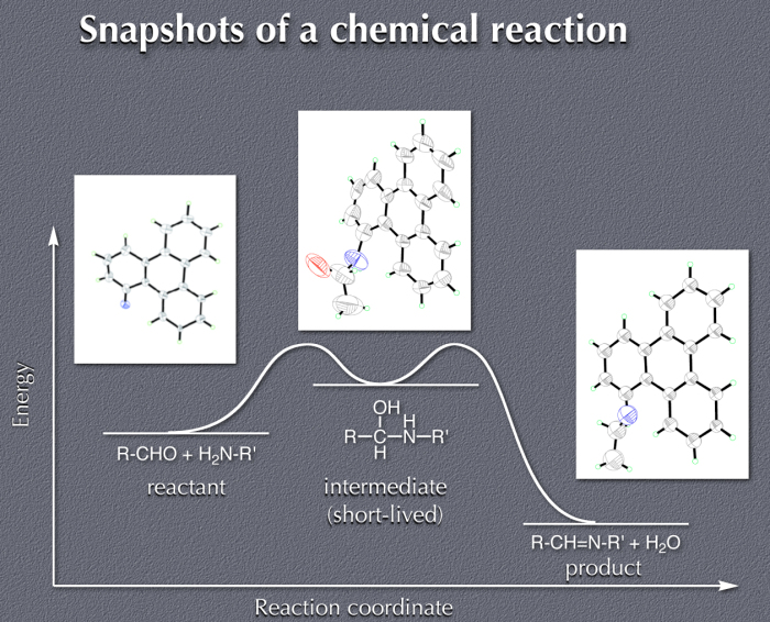 Reaktionskinetik: Festgehaltene Zwischenprodukte Organischer Reaktionen ...