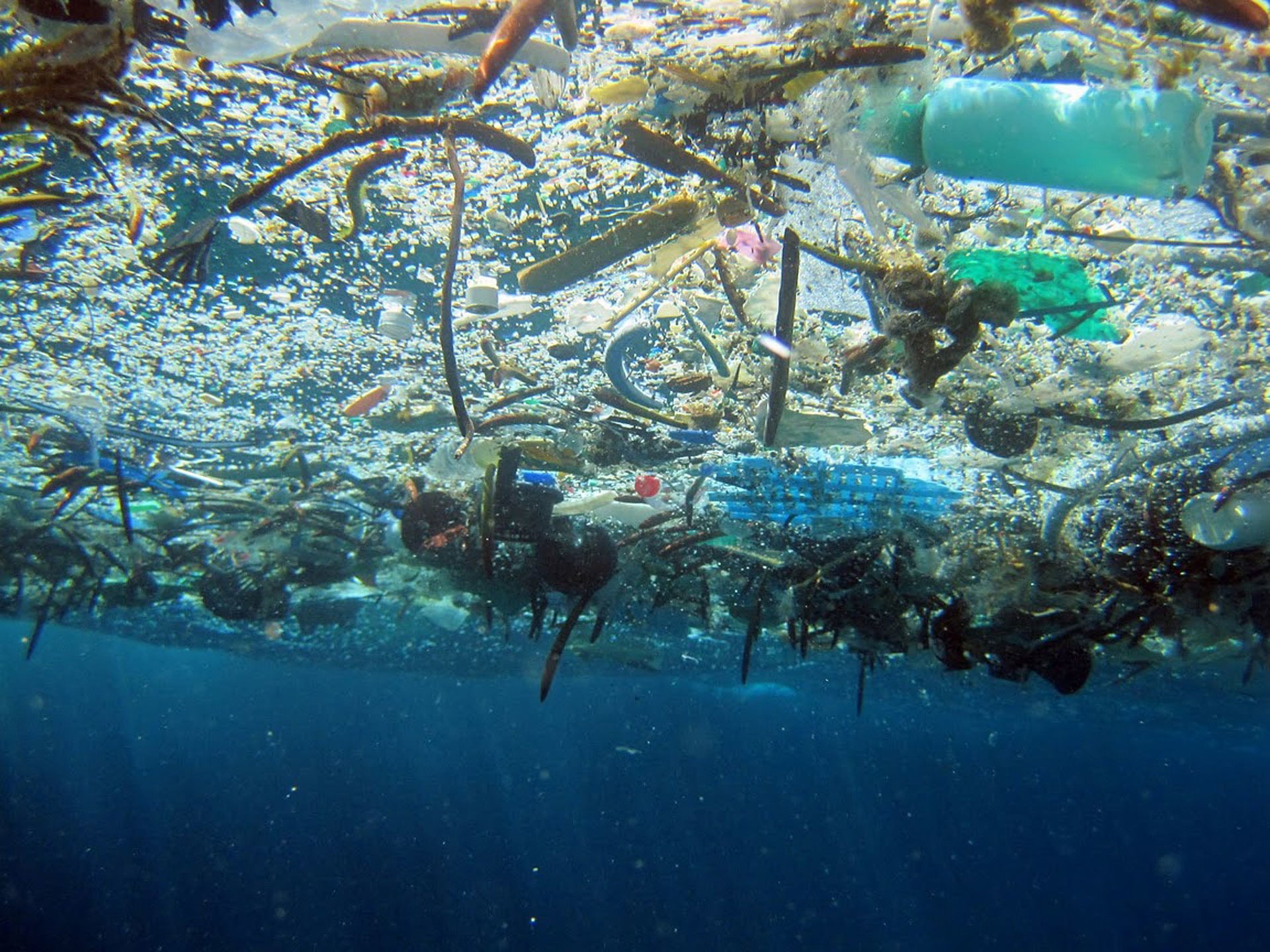 Ozeane: Wohin Verschwindet Unser Plastikmüll? - Spektrum Der Wissenschaft