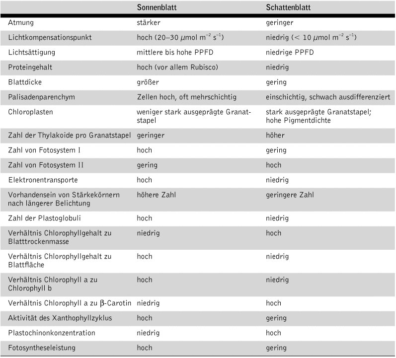 Schattenblätter - Kompaktlexikon Der Biologie