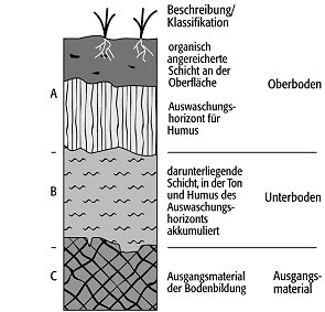 Boden - Lexikon Der Geowissenschaften