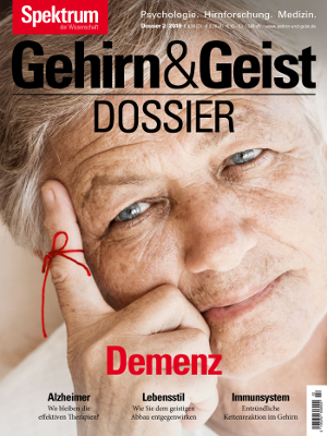 Demenz Gehirn Geist Dossier 2 19 Spektrum Der Wissenschaft