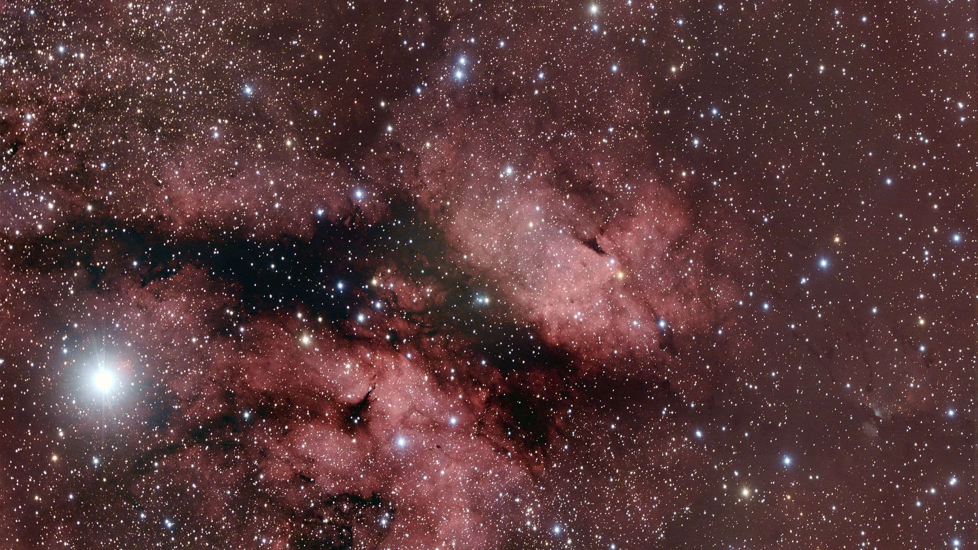 Ic1318 Im Sternbild Schwan Spektrum Der Wissenschaft