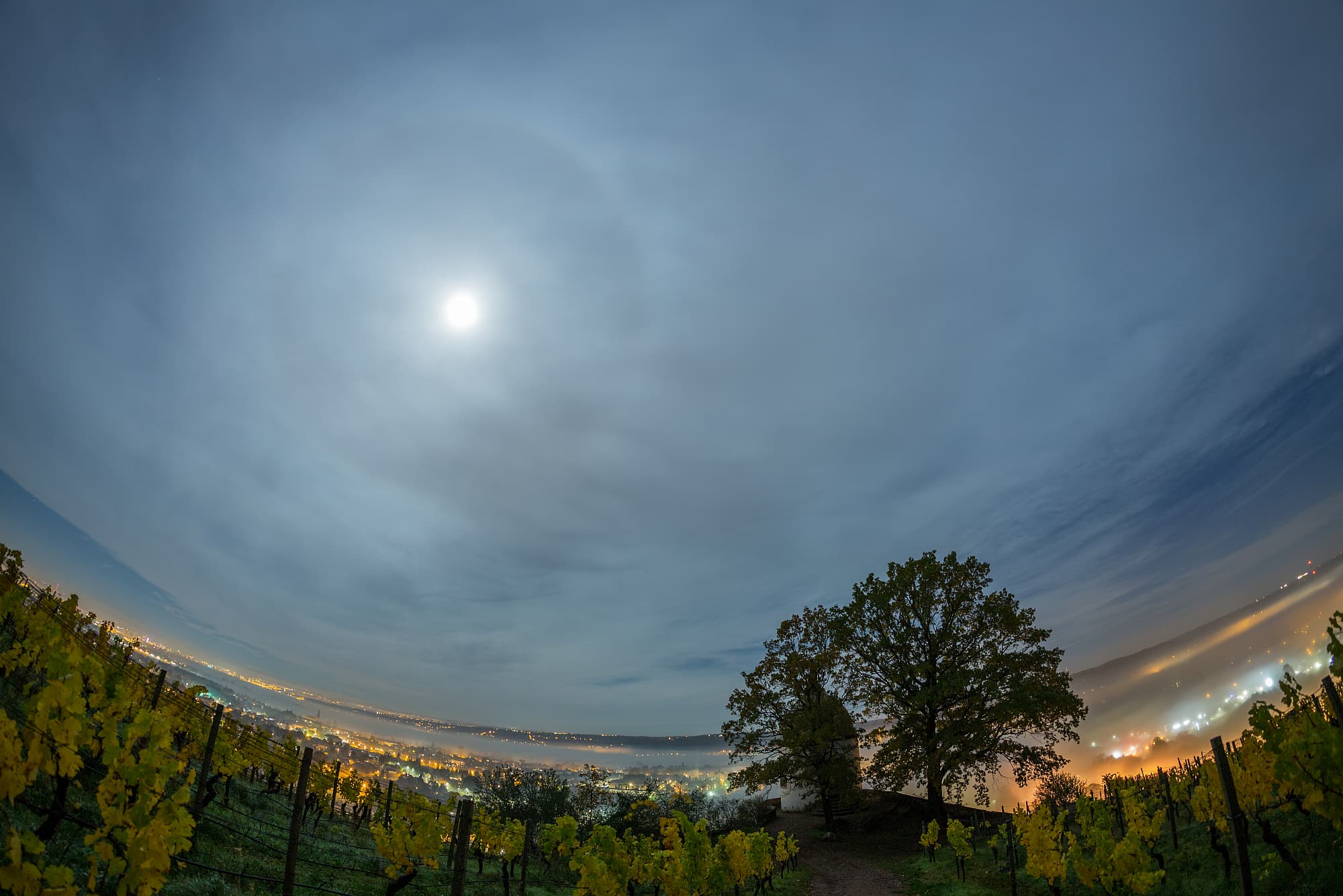 22 Ring Um Den Mond Spektrum Der Wissenschaft