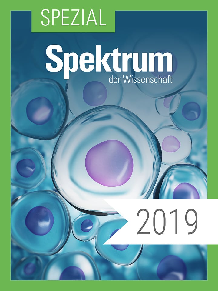 Der Mensch Spektrum Spezial Biologie Medizin Hirnforschung 4 2019 Spektrum Der Wissenschaft