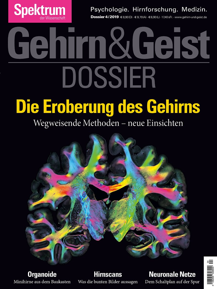 Die Eroberung Des Gehirns - Gehirn&Geist Dossier 4/2019 - Spektrum Der ...