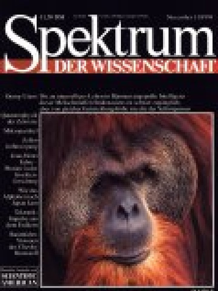 Intelligenz Von Orang Utans Spektrum Der Wissenschaft