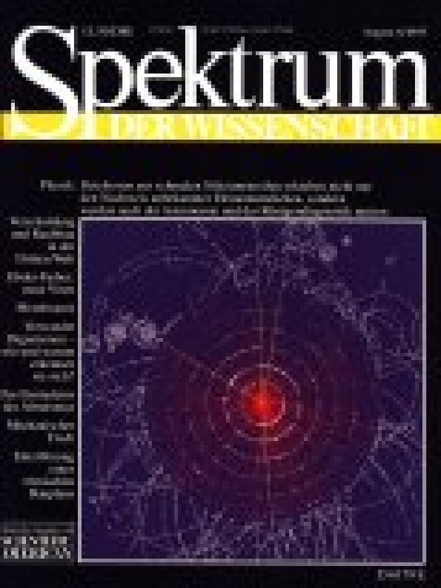 8 / 1995 - Spektrum Der Wissenschaft