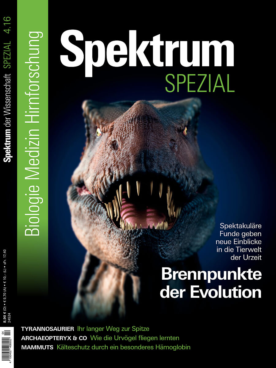 Brennpunkte der Evolution - Spektrum Spezial Biologie ...