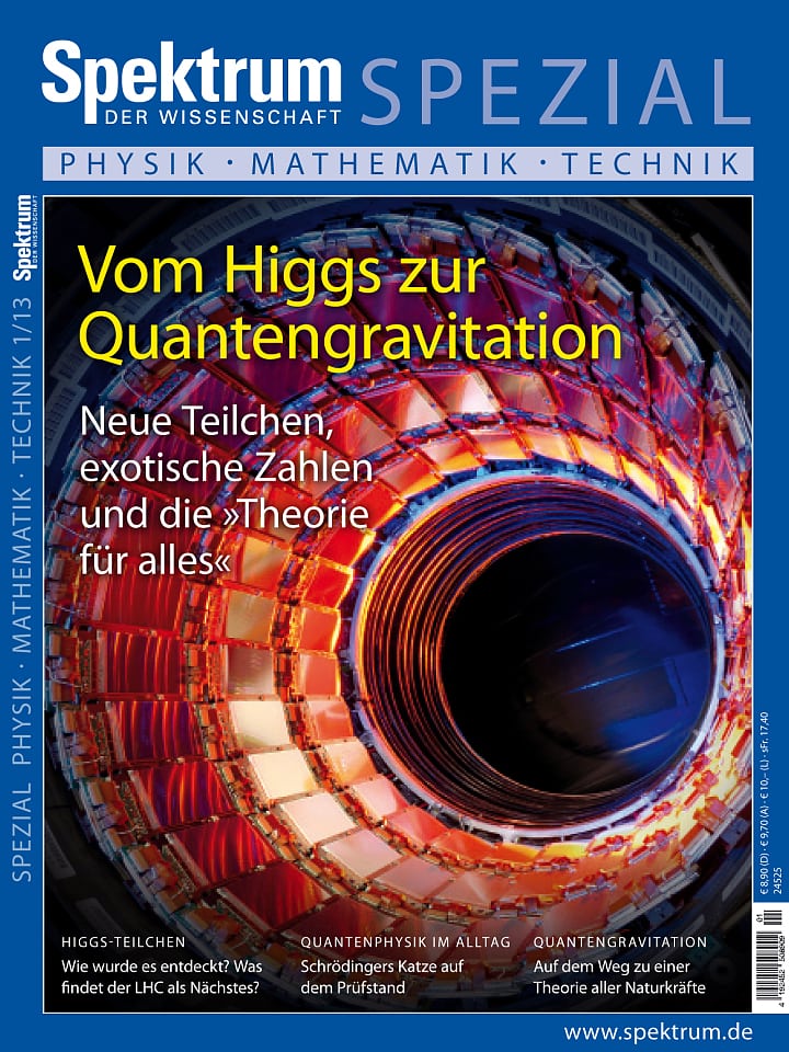 Spezial Physik - Mathematik - Technik 1/2013 - Spektrum Der Wissenschaft