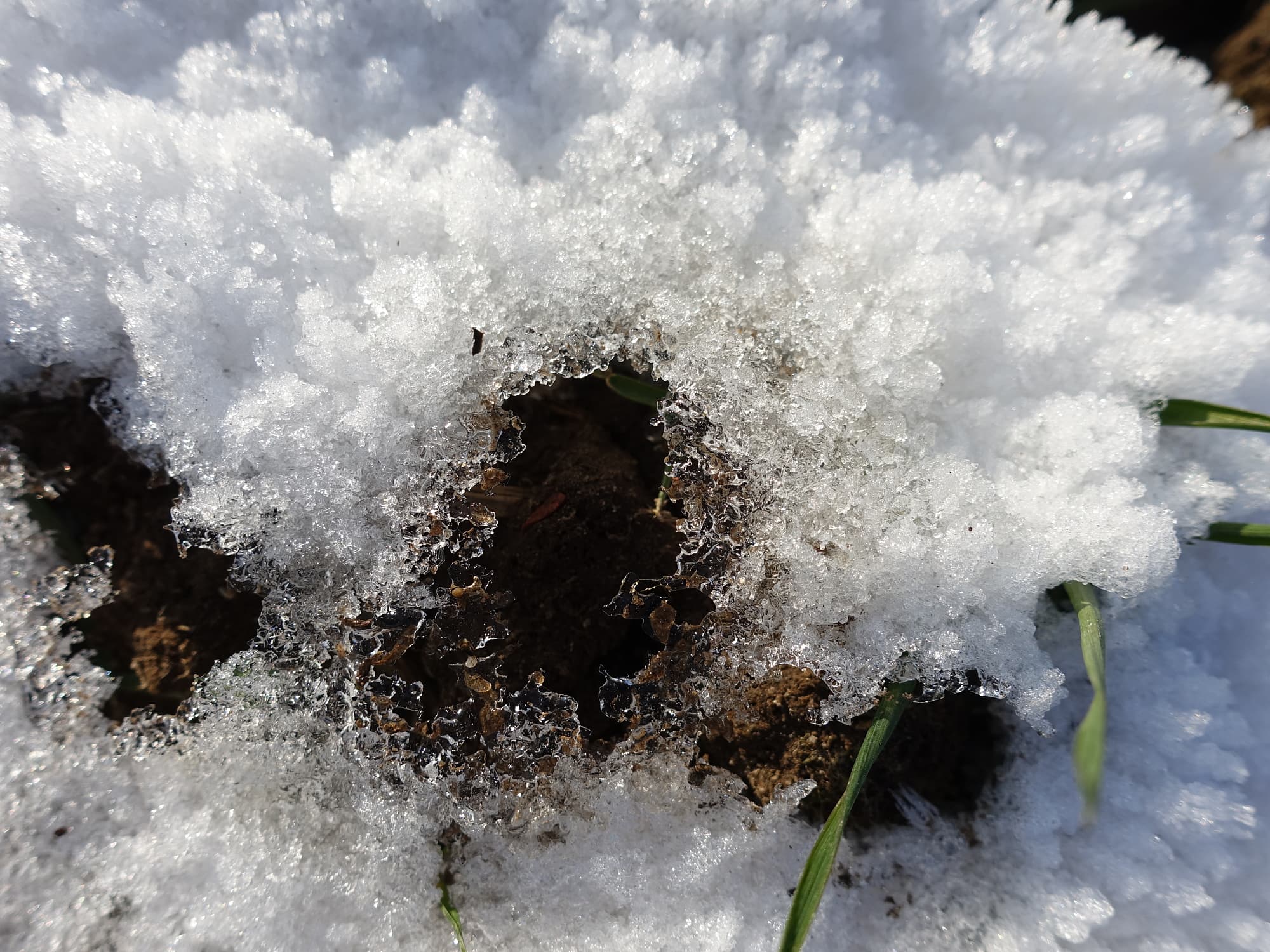 Gefrorene Strukturen An Der Grenze Zwischen Eis Und Schnee Spektrum Der Wissenschaft