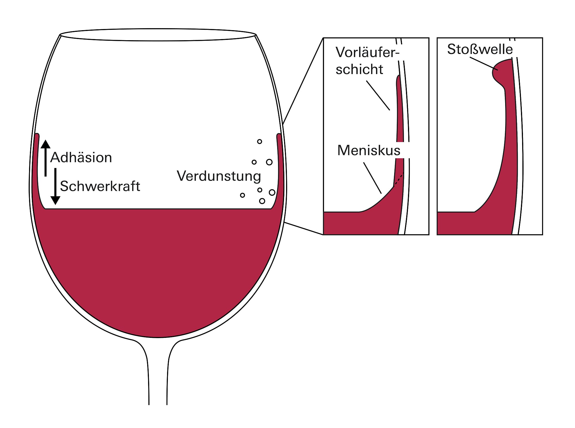 Warum Wein im Glas Schlieren hinterlässt Spektrum der