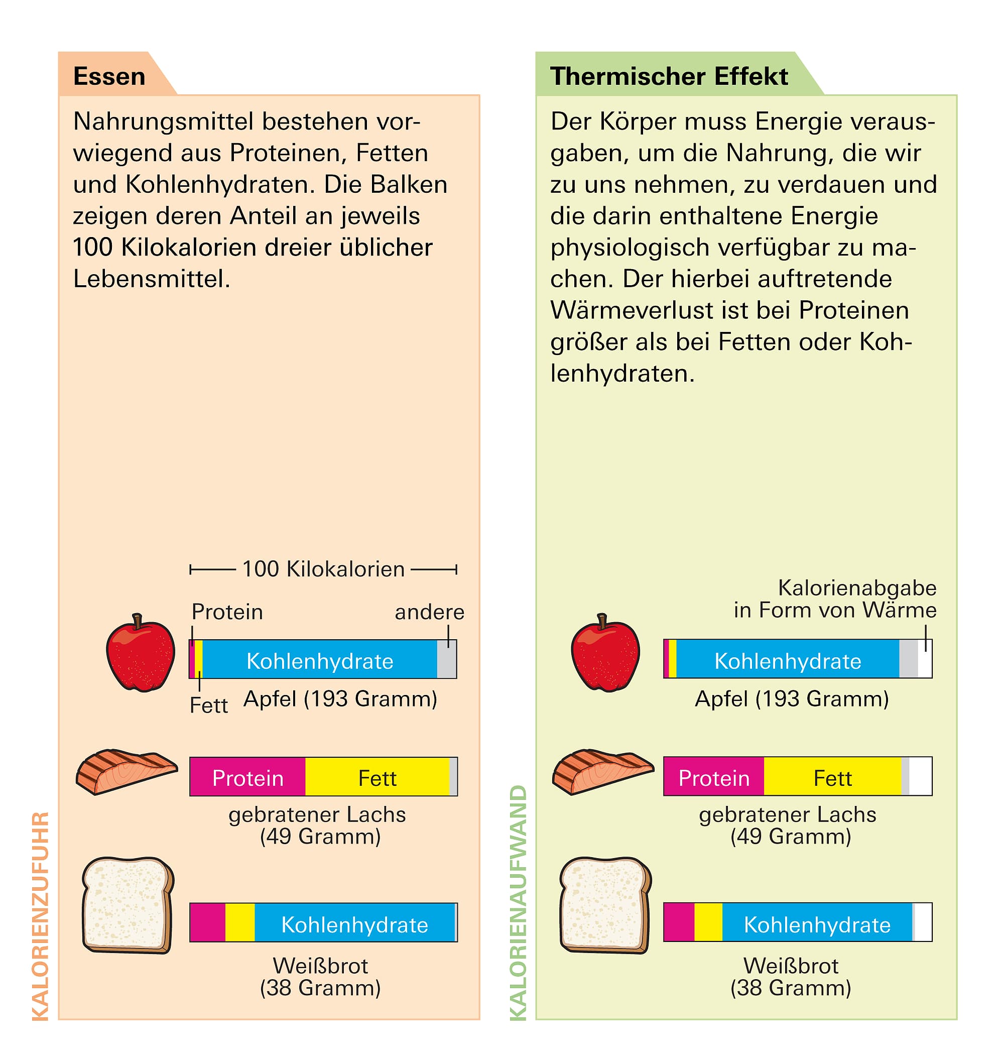 körpermaße frau durchschnitt