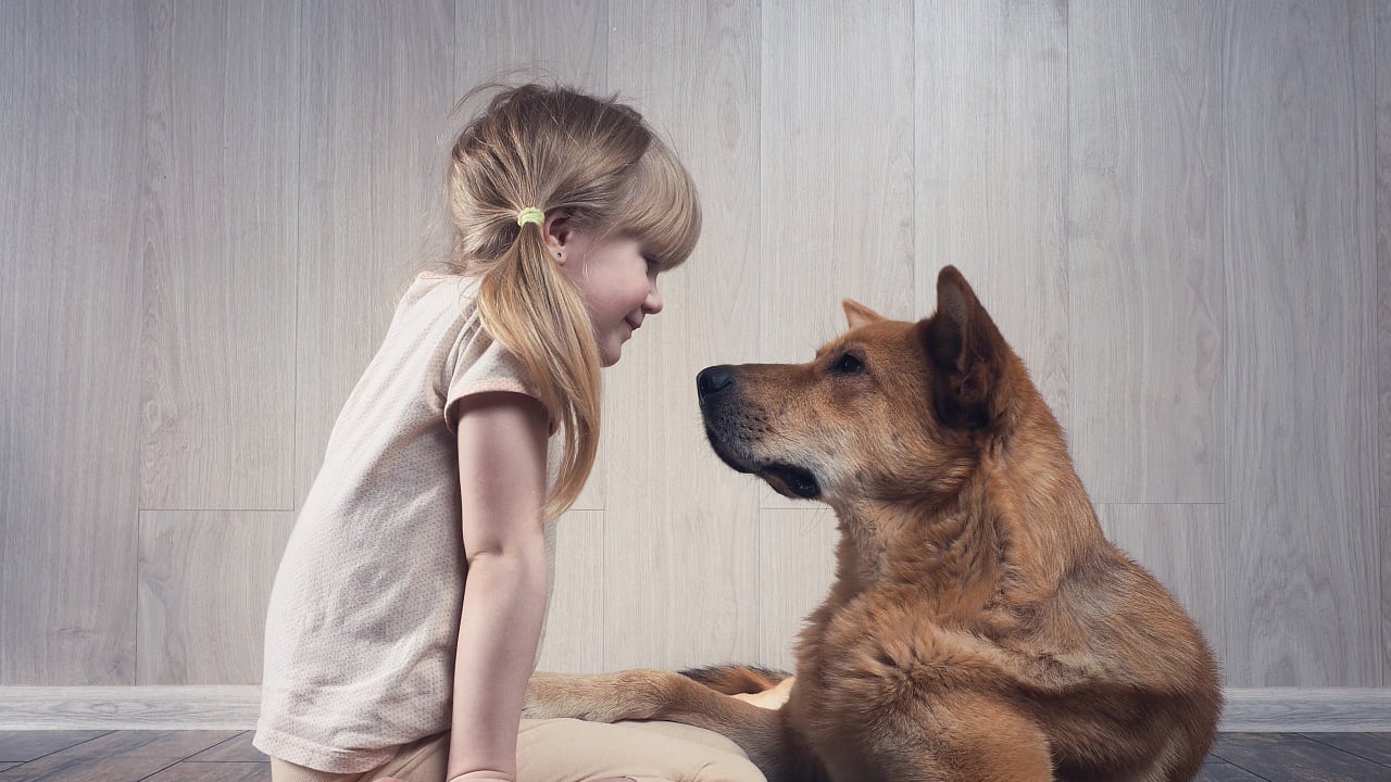 Moralexperiment Fur Kinder Ist Ein Hund So Viel Wert Wie Ein Mensch Spektrum Der Wissenschaft