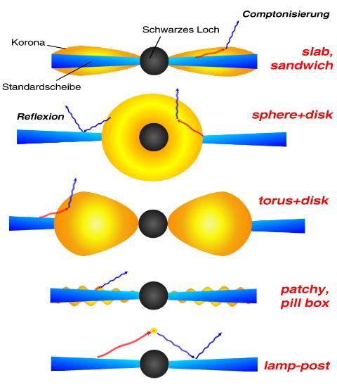 Geometrien der Korona in der Akkretionsphysik