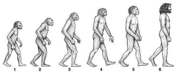 Homo erectus aufrechter Mann Feuer