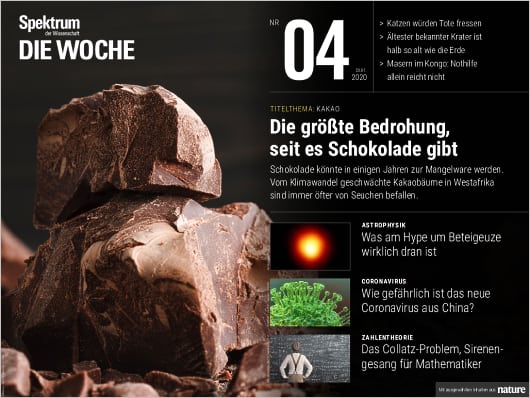 Spektrum Die Woche 4/2020 Cover