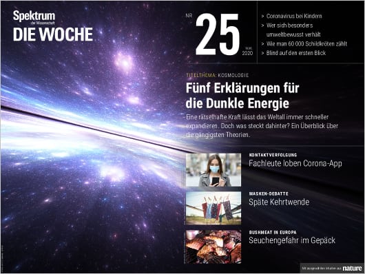 Spektrum Die Woche 25/2020 Cover