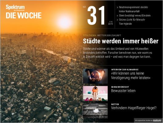 Spektrum Die Woche 31/2019 Cover