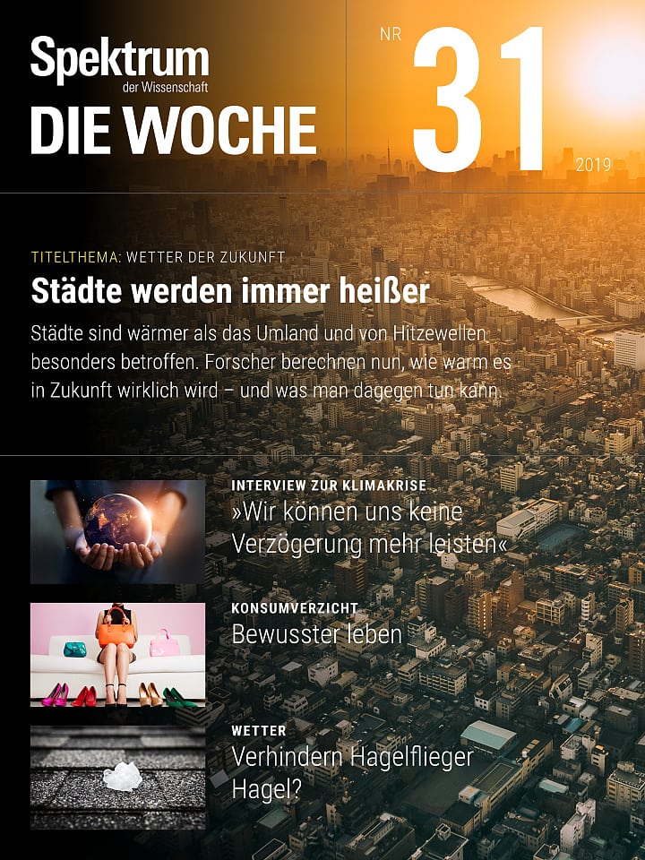 Spektrum - Die Woche – 31/2019 Cover