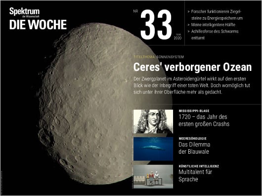 Spektrum Die Woche 33/2020 Cover