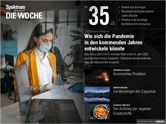 Spektrum Die Woche 35/2020 Cover