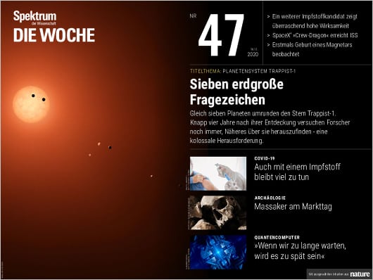 Spektrum Die Woche 47/2020 Cover