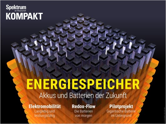 Spektrum Kompakt: Energiespeicher Batterien Akkus - Spektrum Der ...