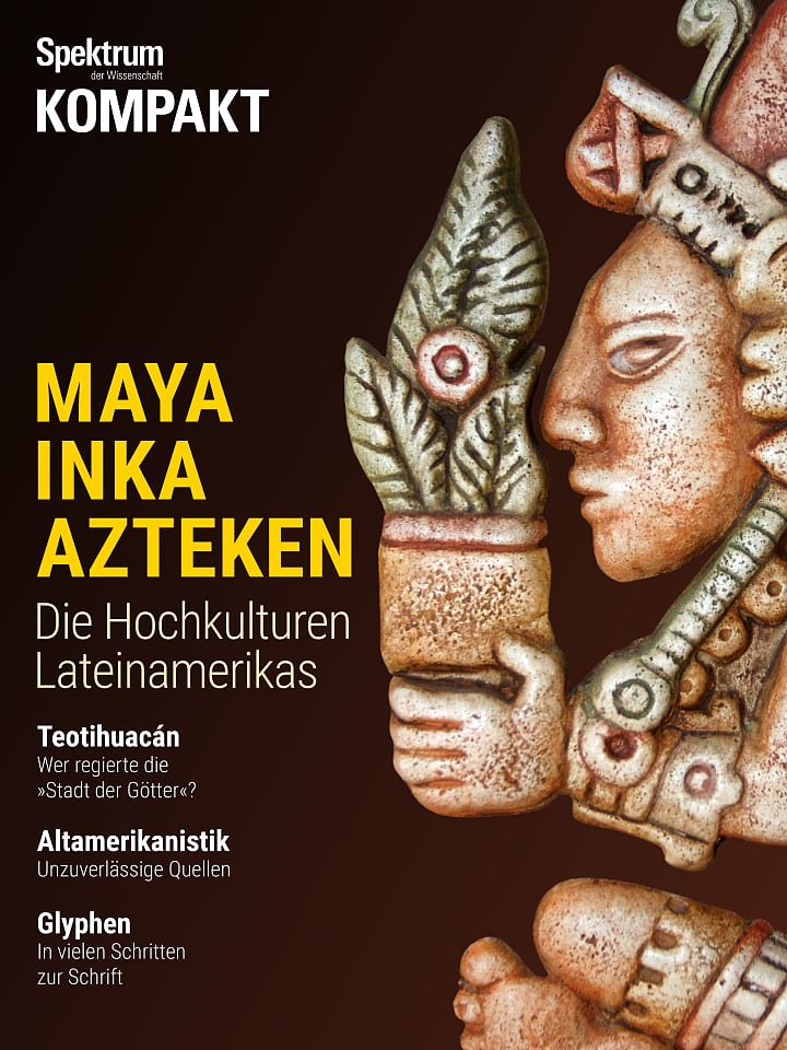 Maya Auf Dem Weissen Weg Der Macht Spektrum Der Wissenschaft