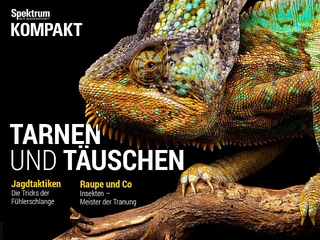 Spektrum Kompakt Tarnen Und Tauschen Spektrum Der Wissenschaft